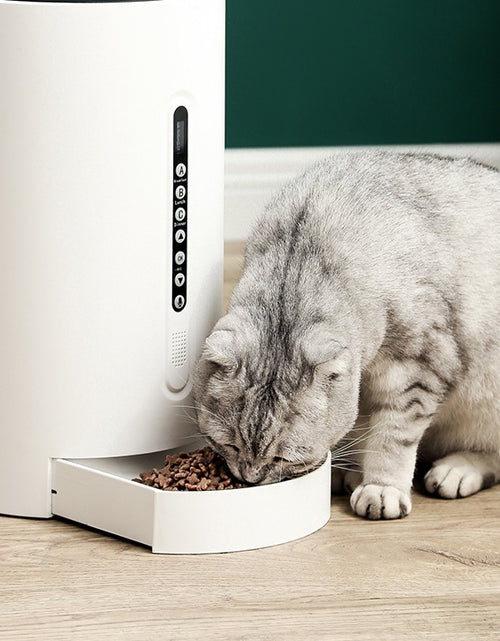 Load image into Gallery viewer, Pet Smart Feeder Pet Supplies Timing
