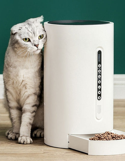 Load image into Gallery viewer, Pet Smart Feeder Pet Supplies Timing
