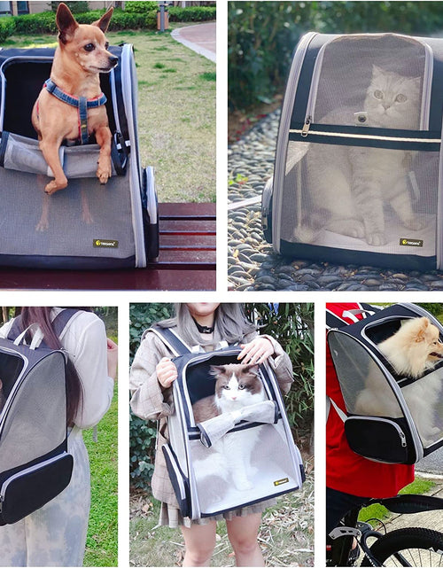 Load image into Gallery viewer, Pet Backpack Carrier for Small Cats Dogs | Ventilated Design, Safety Straps, Buckle Support, Collapsible | Designed for Travel, Hiking, Walking &amp; Outdoor Use
