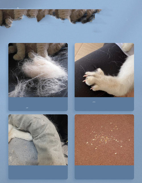 Load image into Gallery viewer, Bed Cat Hair Cleaner Pet Supplies
