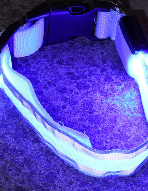 Load image into Gallery viewer, Anti-lost Led Luminous Dog Collar Pet Supplies
