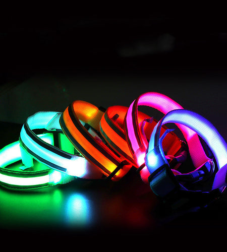 Anti-lost Led Luminous Dog Collar Pet Supplies