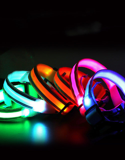 Load image into Gallery viewer, Anti-lost Led Luminous Dog Collar Pet Supplies
